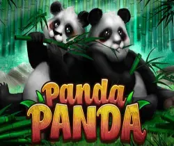 Panda Panda