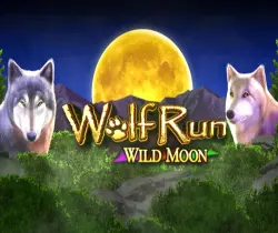 Wolf Run Wild Moon