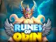 Runes of Odin image