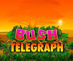 Bush Telegraph