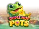 Triple Hop Pots image